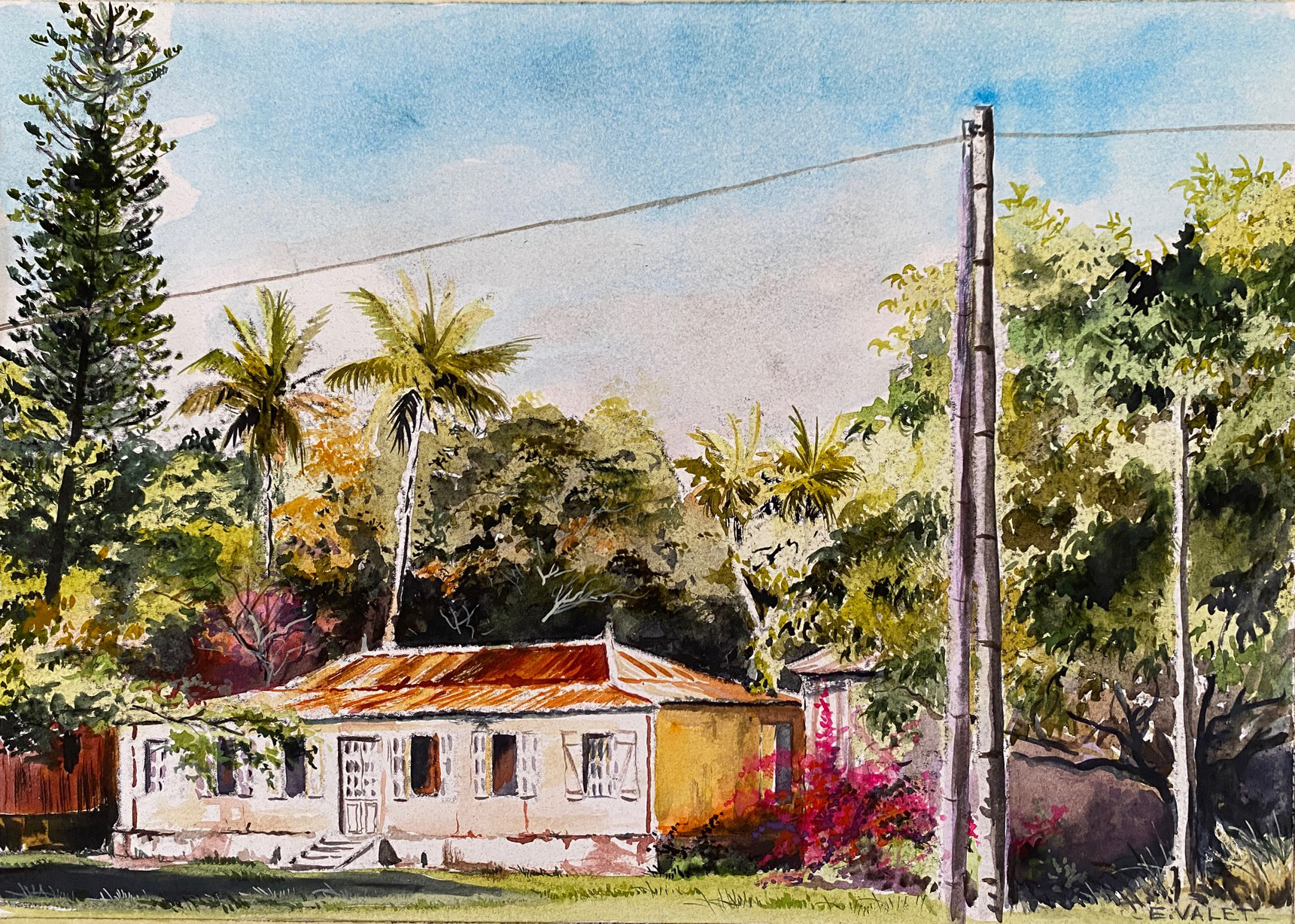 Eric VALET-Fonwhary ( aquarelle sur papier )