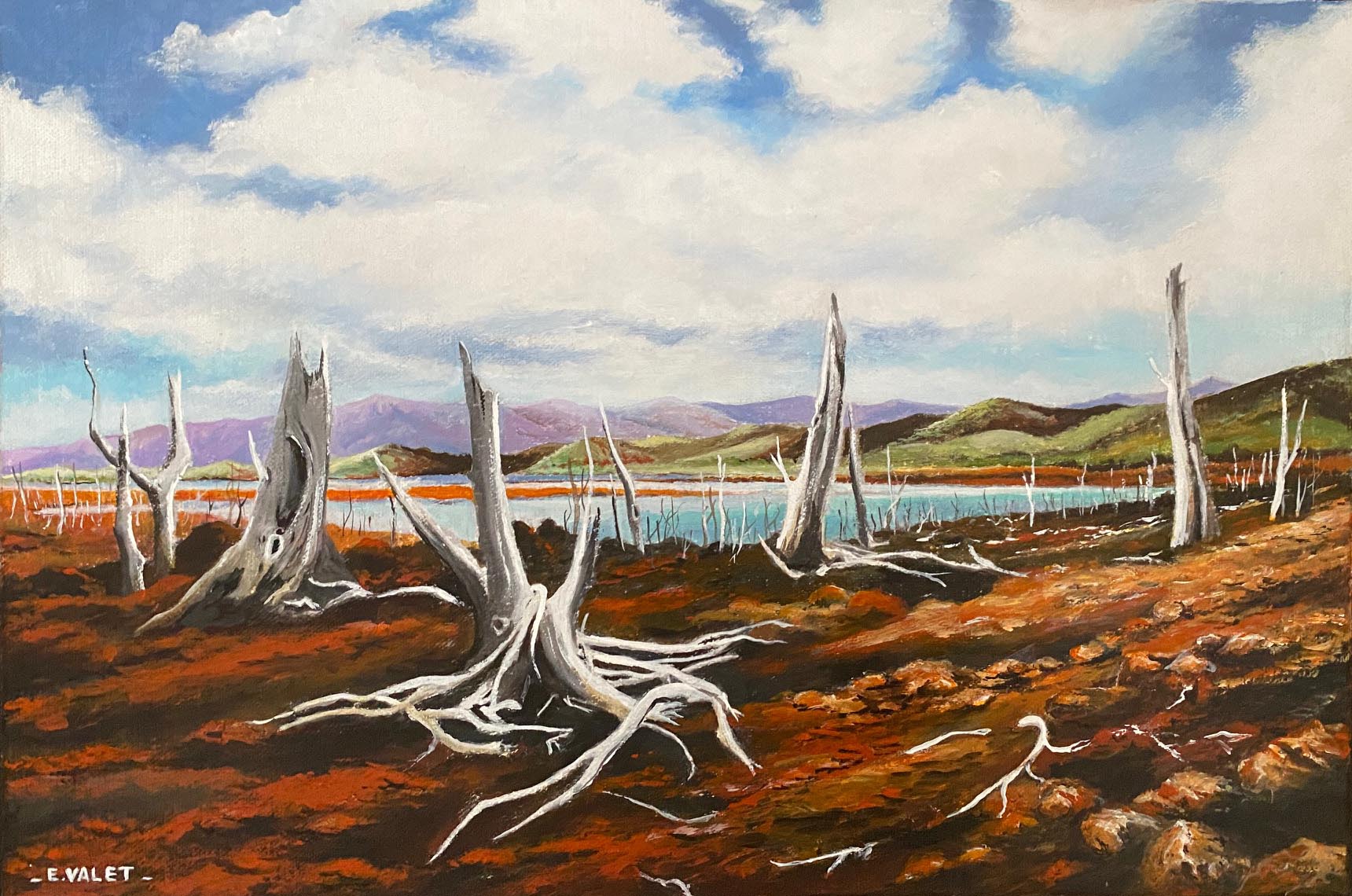 Acrylique sur toile-le sud ( Eric VALET )